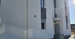 Apartment mit Pool H124, Novalja